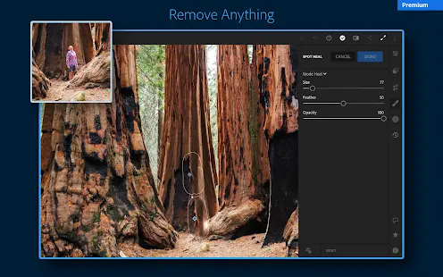 Adobe Lightroom: Photo Editor Screenshot