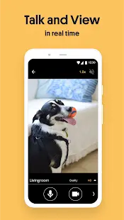 AlfredCamera Home Security app Screenshot