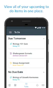 Canvas Student Screenshot