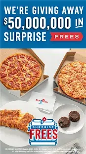 Domino's Pizza USA Screenshot