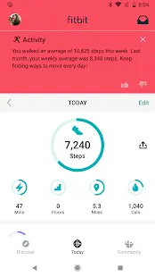 Fitbit Screenshot