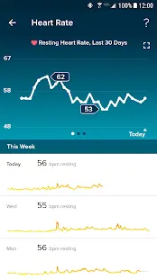 Fitbit Screenshot