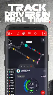 Formula 1® Screenshot