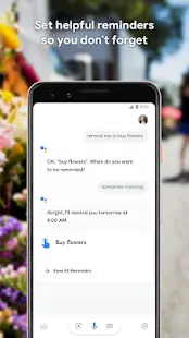 Google Assistant Screenshot