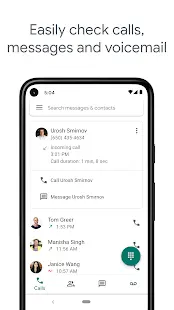 Google Voice Screenshot