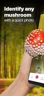 Picture Mushroom - Mushroom ID Screenshot