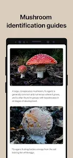 Picture Mushroom - Mushroom ID Screenshot