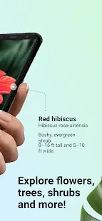 PictureThis - Plant Identifier Screenshot