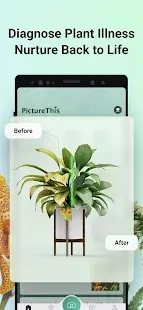 PictureThis - Plant Identifier Screenshot