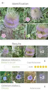 PlantNet Plant Identification Screenshot