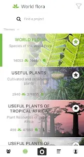 PlantNet Plant Identification Screenshot