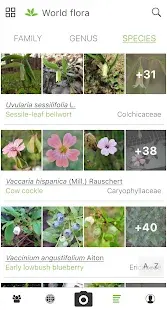 PlantNet Plant Identification Screenshot