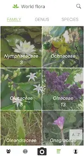 PlantNet Plant Identification Screenshot