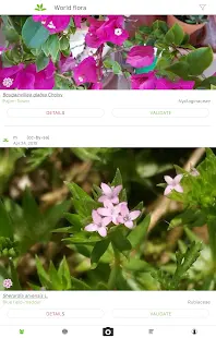 PlantNet Plant Identification Screenshot