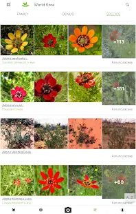 PlantNet Plant Identification Screenshot