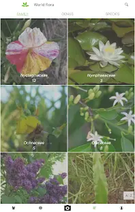 PlantNet Plant Identification Screenshot