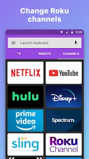 Roku Remote Control: RoByte Screenshot