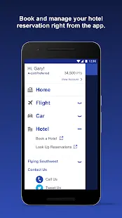 Southwest Airlines Screenshot