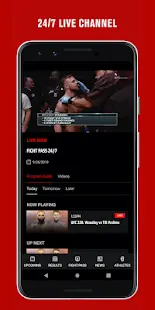 UFC Screenshot