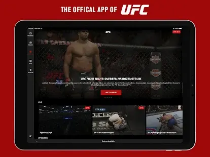 UFC Screenshot