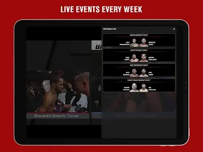 UFC Screenshot