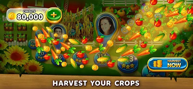 Solitaire Grand Harvest Screenshot