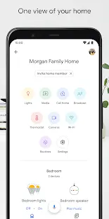 Google Home Screenshot