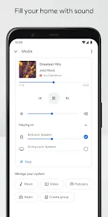 Google Home Screenshot