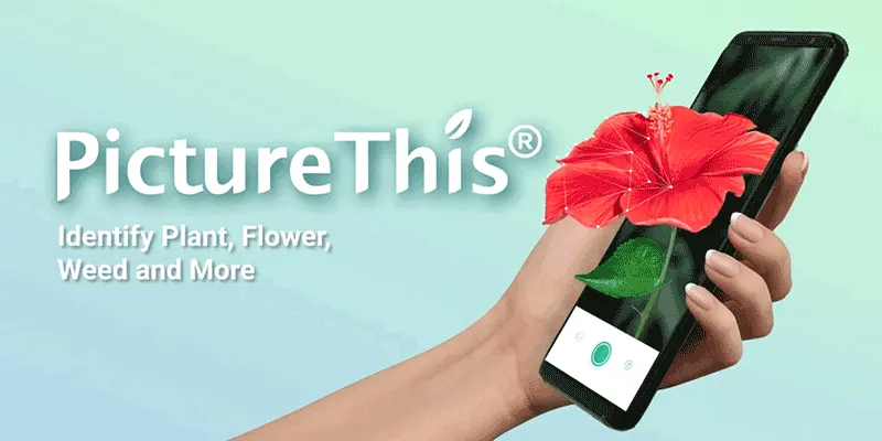 PictureThis - Plant Identifier