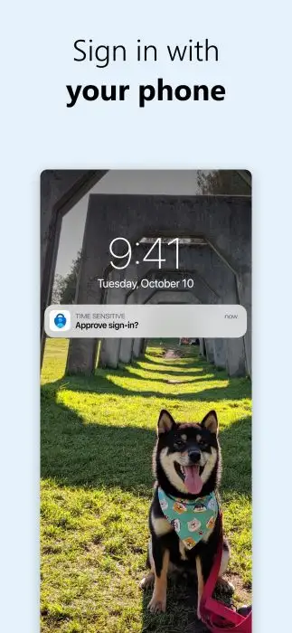 Microsoft Authenticator Screenshot