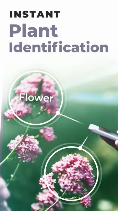 PlantSnap plant identification Screenshot