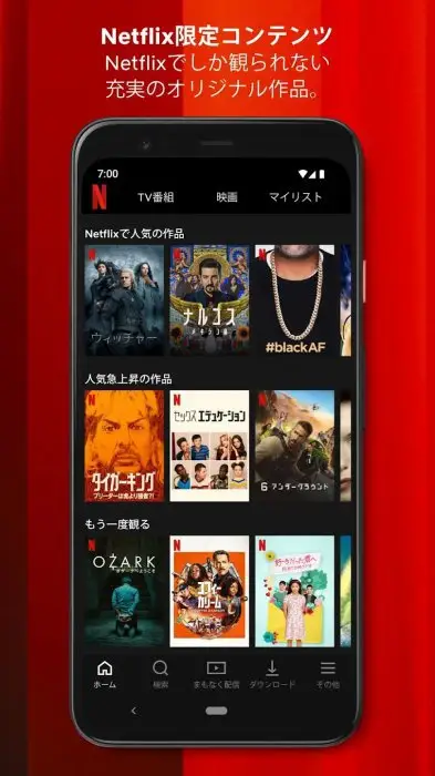 Netflix スクリーンショット