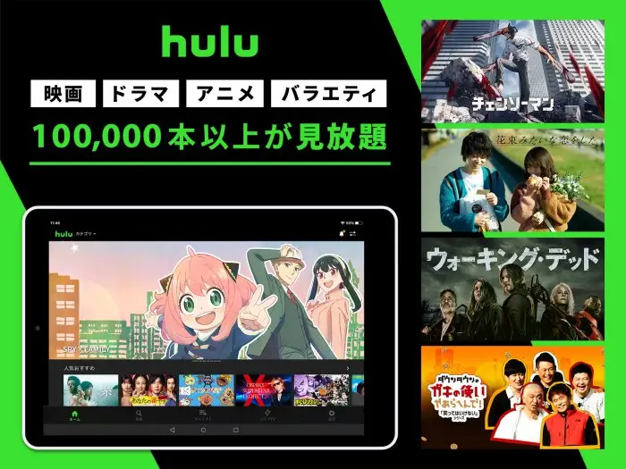 Hulu / フールー　人気ドラマ・映画・アニメなどが見放題 スクリーンショット