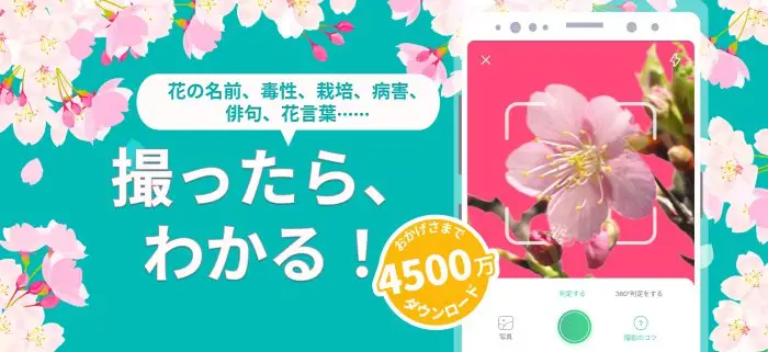 PictureThis：撮ったら、判る-1秒植物図鑑 スクリーンショット