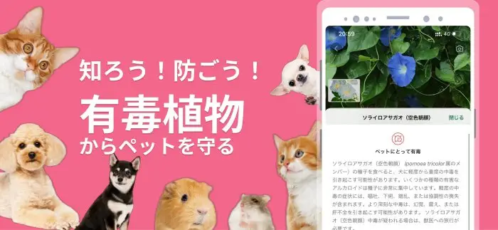 PictureThis：撮ったら、判る-1秒植物図鑑 スクリーンショット