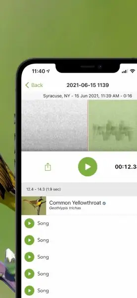 Merlin Bird ID by Cornell Lab Screenshot