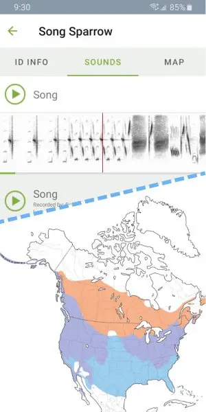 Merlin Bird ID by Cornell Lab Screenshot