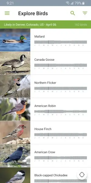 Merlin Bird ID by Cornell Lab Screenshot