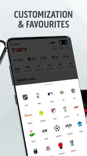 TSN Screenshot