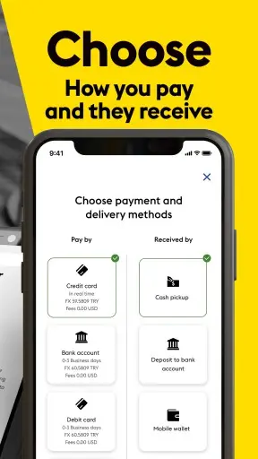 Western Union Screenshot