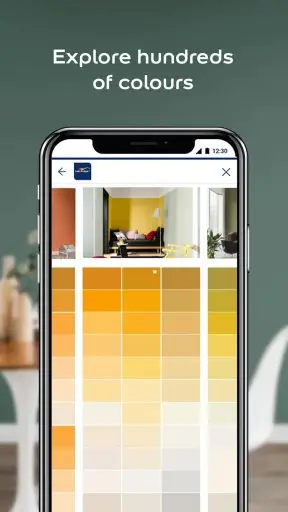 Dulux Visualizer Screenshot