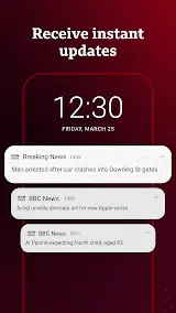 BBC News Screenshot