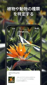 Google レンズ スクリーンショット