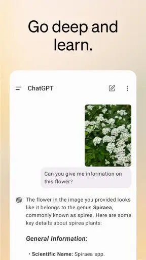 ChatGPT Screenshot