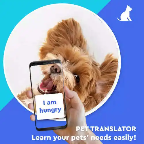 Translate Screenshot