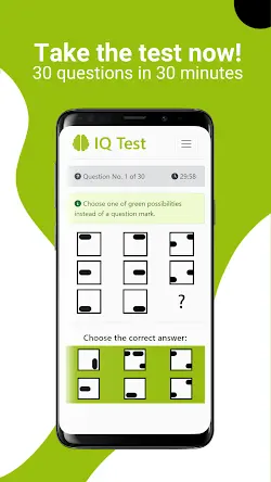 IQ Test Screenshot